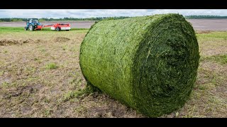 Degradation of Whole Cottonseed and Grass Hay [upl. by Yelyk]