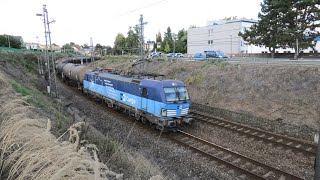 CD Cargo 383 0023  Benešov [upl. by Attaynek]