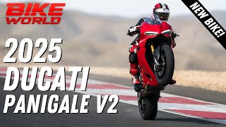 New Ducati Panigale V2  Eicma First Look [upl. by Holmann]