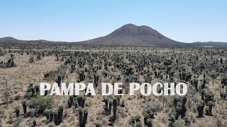 Pampa de Pocho Argentina by Drone [upl. by Wack]