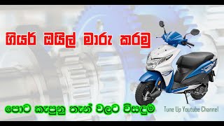 ගියර් ඔයිල් මාරු කරමු How change gear oil Scooter gear oil changing [upl. by Mandelbaum629]