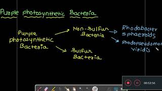 prokaryotic photosynthesis oxygenic and anoxygenic photosynthesis purple and green sulfur bacteria [upl. by Clemen]