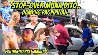 PET MARKET STOPOVER DITO SA MARILAO [upl. by Zebapda]