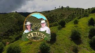 Finca La Maria  Juglares [upl. by Adnovad]