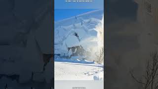 Satisfying 🤩 Snow Removal From Roof [upl. by Arenat497]