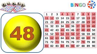 90Ball  Bingo Caller Game1 New [upl. by Ivers767]