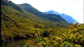 Costa Rica Chillout Chirripo National Park [upl. by Yelreveb794]