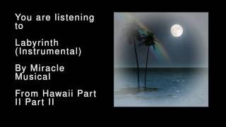 08 Labyrinth Instrumental  Hawaii Part II Part II [upl. by Tonjes]