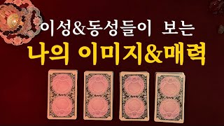 타로🦄🌷이성이 보는 나의 매력 vs 동성이 보는 나의 매력🩵 [upl. by Icrad]