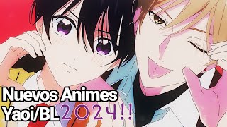 ✨NUEVOS ANIMES YAOI Y FANSERVICE PARA ESTE 2024 [upl. by Etnovaj]