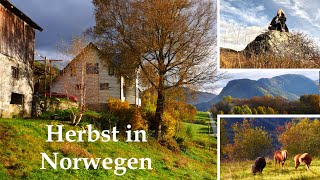 Unsere kleine Farm im Herbst  Tägliches langsames Leben am See in den Bergen in Norwegen 7 [upl. by Nosille]