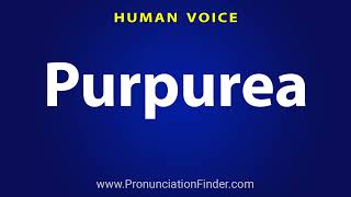 How To Pronounce Purpurea [upl. by Shulem85]