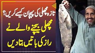 Fresh Fish Ki Pehchan Kaise Kare Fish Seller Ne Raaz Ki Baatein Bata Di [upl. by Cavill]