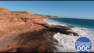 Alucinante la historia de cómo el Planeta Tierra está llegando a su límite DOCUMENTAL COMPLETO [upl. by Suaeddaht]