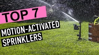 BEST MOTION ACTIVATED SPRINKLER [upl. by Uhsoj]