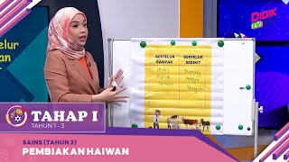 Tahap I 2022  Sains Tahun 2 Pembiakan Haiwan [upl. by Yxor433]