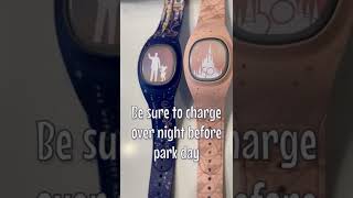 Disney World’s NEW MagicBand Tips [upl. by Noteek]