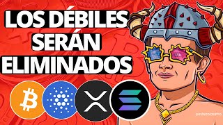 ✅NO ENTRES EN PÁNICO😱Noticias Criptomonedas HOYBitcoin Cardano Solana ETH XRP SHIB LINK AVAX [upl. by Joella]