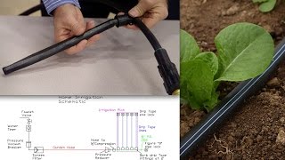 How to install home garden drip irrigation [upl. by Acima]