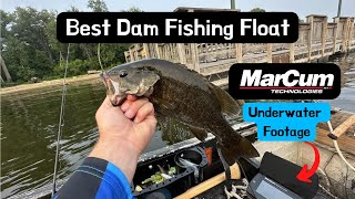 Whats Swimming Around Below the Best Dam Fishing Float UNDERWATER FOOTAGE [upl. by Anemolif]