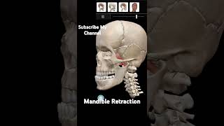 Mandible Retraction [upl. by Nnylireg]