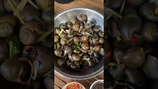 Snail fried delicious foods mukbang eatingshow food shorts [upl. by Eikciv]