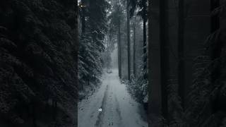 Black forest  सबसे खतरनाक जंगल  forest shorts youtubeshorts blackforest facts trending [upl. by Marylin345]