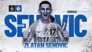 Zlatan SEHOVIC ● LWBLB ● HIGHLIGHTS  ANALYSIS ● 202425 [upl. by Delfeena227]