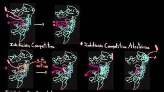 Inhibidor comp no comp y acompetitivo  Enzimas Parte XIV [upl. by Yesac942]