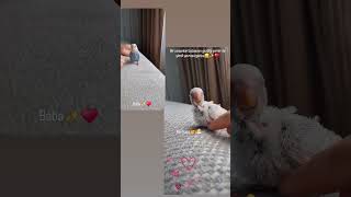 Zaman su misali🥰shortsbird reelsinstagram budgerigars keşfet viralvideos komikhayvanlar bird [upl. by Jocelyn]