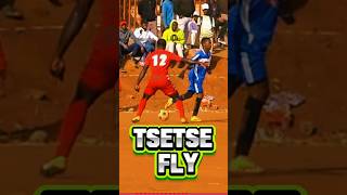 TSTSTSTsetse Fly  Aviator kasifootball youtubechamps [upl. by Aryahay]