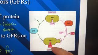 Carcinogenesis  Lecture 26  Part 3 [upl. by Alvie]