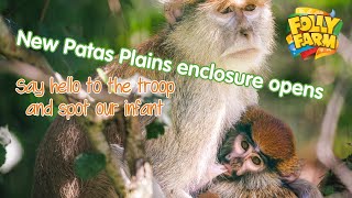 Patas Plains primate development now OPEN [upl. by Suzanne356]