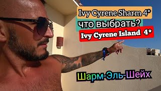 Египет🇪🇬 Какие недостатки Ivy Cyrene Island Resort 4 Выводы об двух отелей Ivy Cyrene Sharm 4 [upl. by Znerol104]