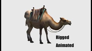 3D Animated Camel Model [upl. by Drofnil]