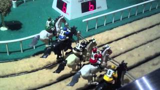 Sigma Derby Horse Racing at MGM Grand [upl. by Duj]