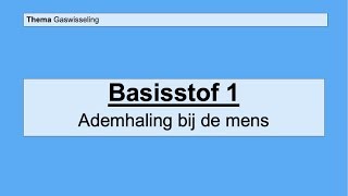 VMBO 4  Gaswisseling  Basisstof 1 Ademhaling bij de mens [upl. by Naoh]