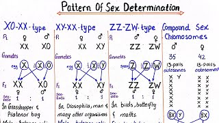 Patterns of sex determination  class 12 [upl. by Atiana]