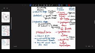 parasitology  shistosoma amp wbancrofti amp malaria [upl. by Ezara]