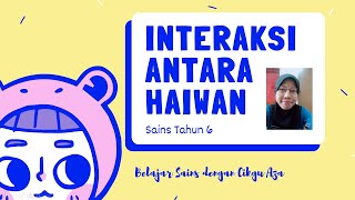 Sains Tahun 6  Interaksi Antara Haiwan [upl. by Anastasio]