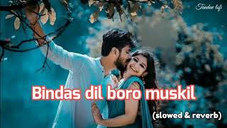 Bindas dil boro muskil💕slowed amp reverb lofi song ‎TandavLofi20 [upl. by Eenimod]