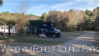 OUR FIRST FILM Wareham Forest Tourist Park  VW California T6 [upl. by Rawley]