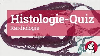 DocCheck HistologieQuiz Kardiologie [upl. by Alrahc756]