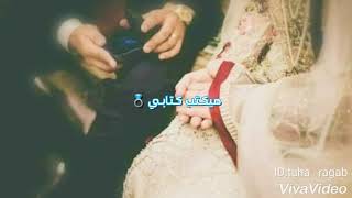 ياسر رشاد يطول عزابي كترو خطابي جديد 2019 [upl. by Pickard]