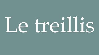 How to Pronounce Le treillis The trellis Correctly in French [upl. by Kinemod106]