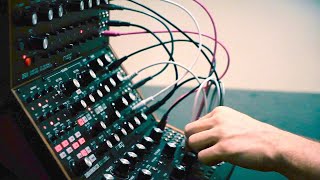 Moog SemiModular Session Mother32 DFAM and Subharmonicon Dark Techno Generative Sequence [upl. by Shannan]