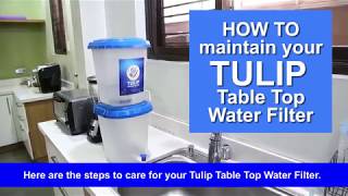 How to maintain your Tulip Table Top Water Filter [upl. by Anrym]