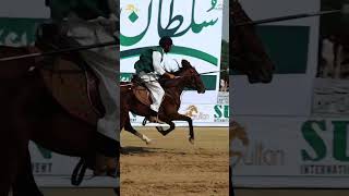 Individual Lance amp Pegg  Beautiful Brown Horse  Sultan International Tent Pegging Tournament [upl. by Sucramad]