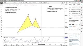 Webinar Introduction to Harmonic Patterns [upl. by Wiseman]