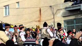 Caiutii din Vorona 2012MP4 [upl. by Merwyn55]